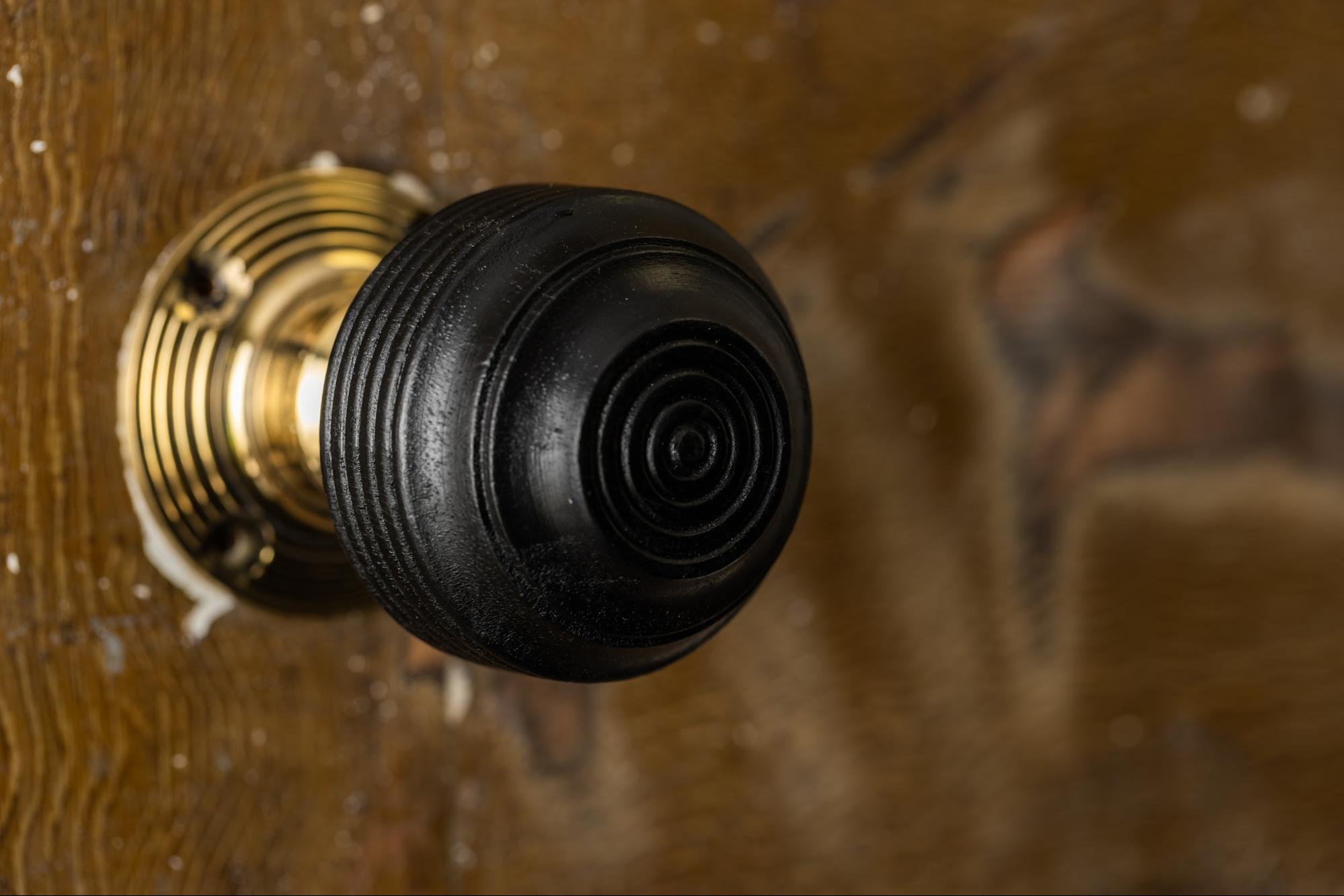 Georgian ebonised reeded door knob