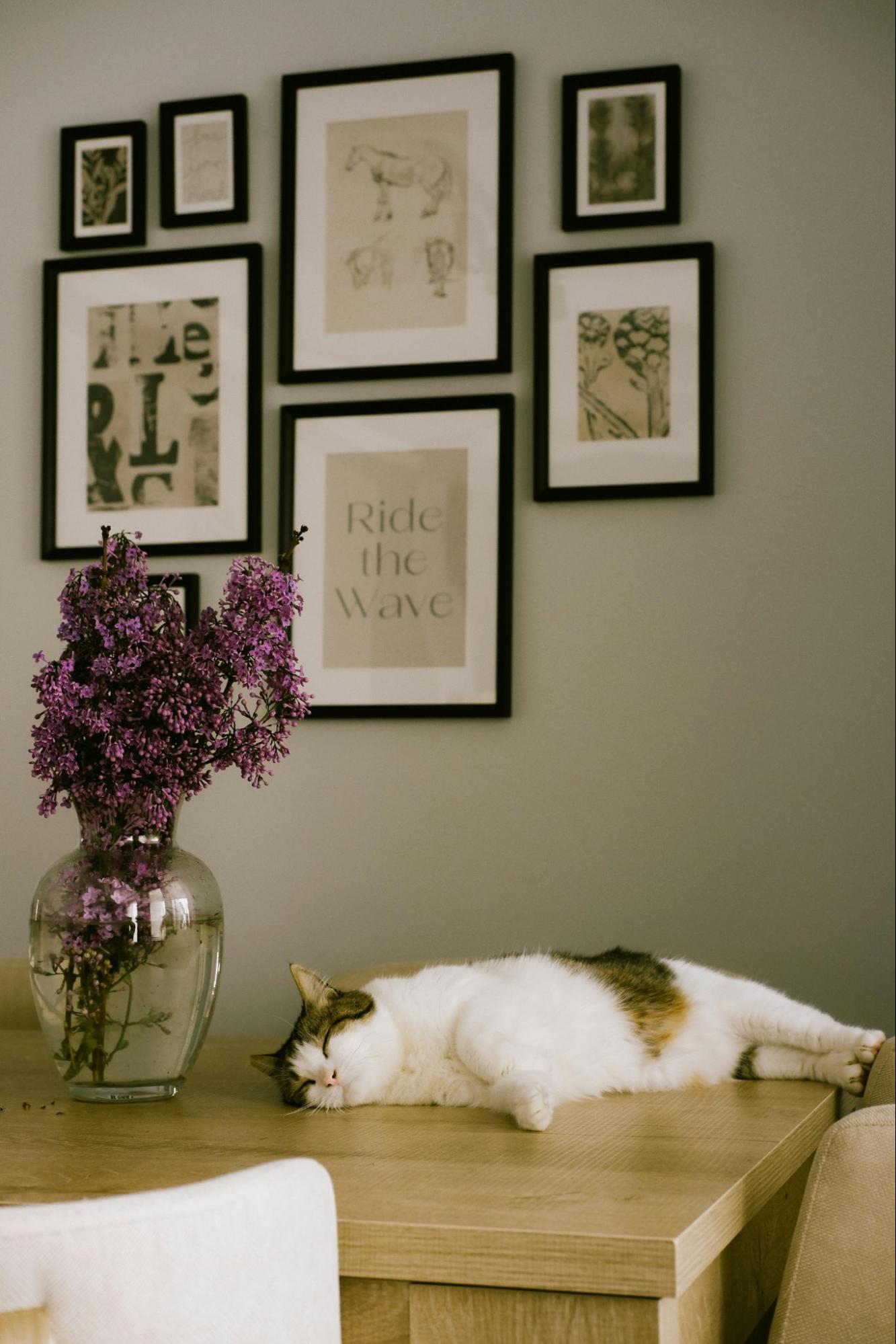 gallery wall